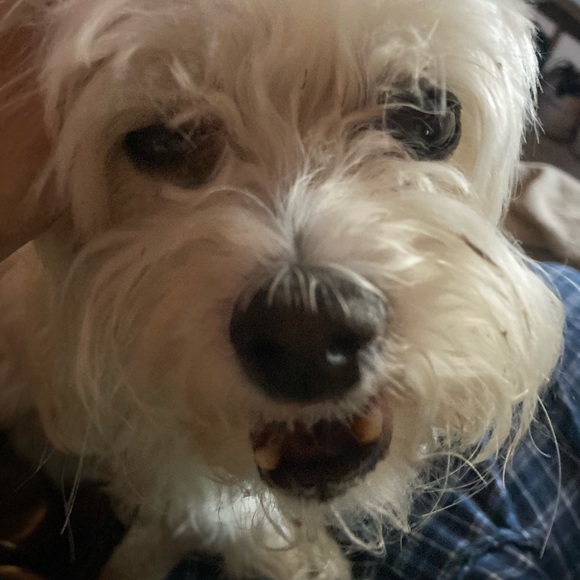 Meet your Posher, Andrea - Picture 1 of 1